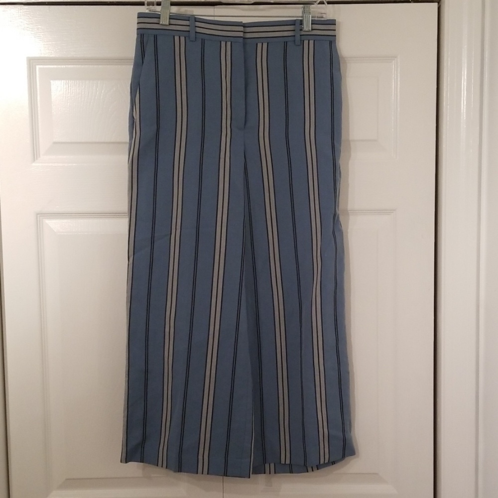 NWOT Ann Taylor Palazzo Pants